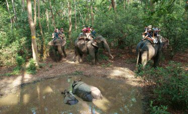 Kathmandu Chitwan Tour