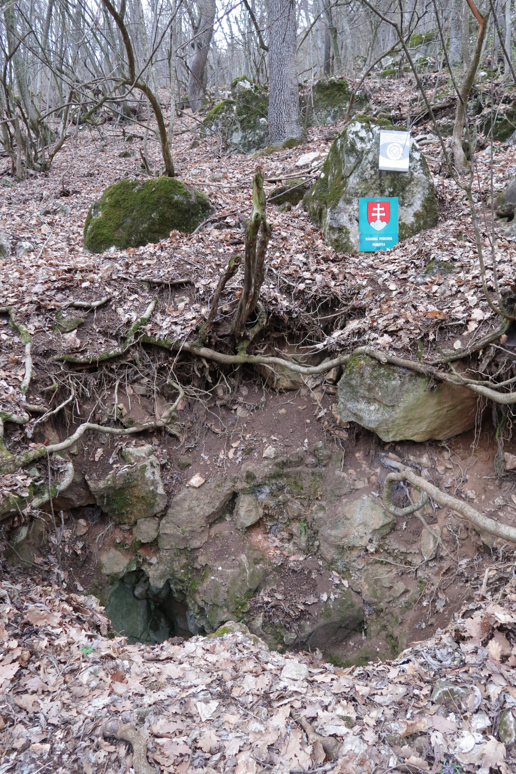 Hrušovská jaskyňa