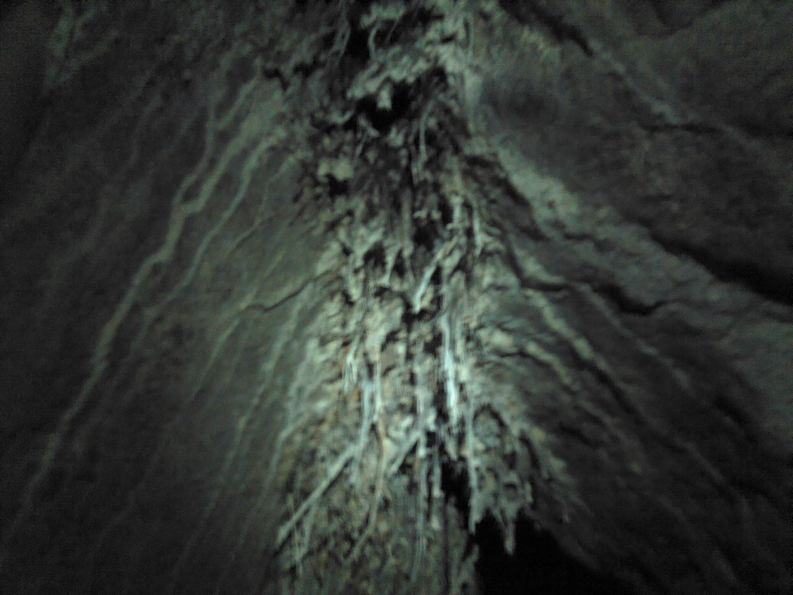 Jaskyňa pod Jeleňom