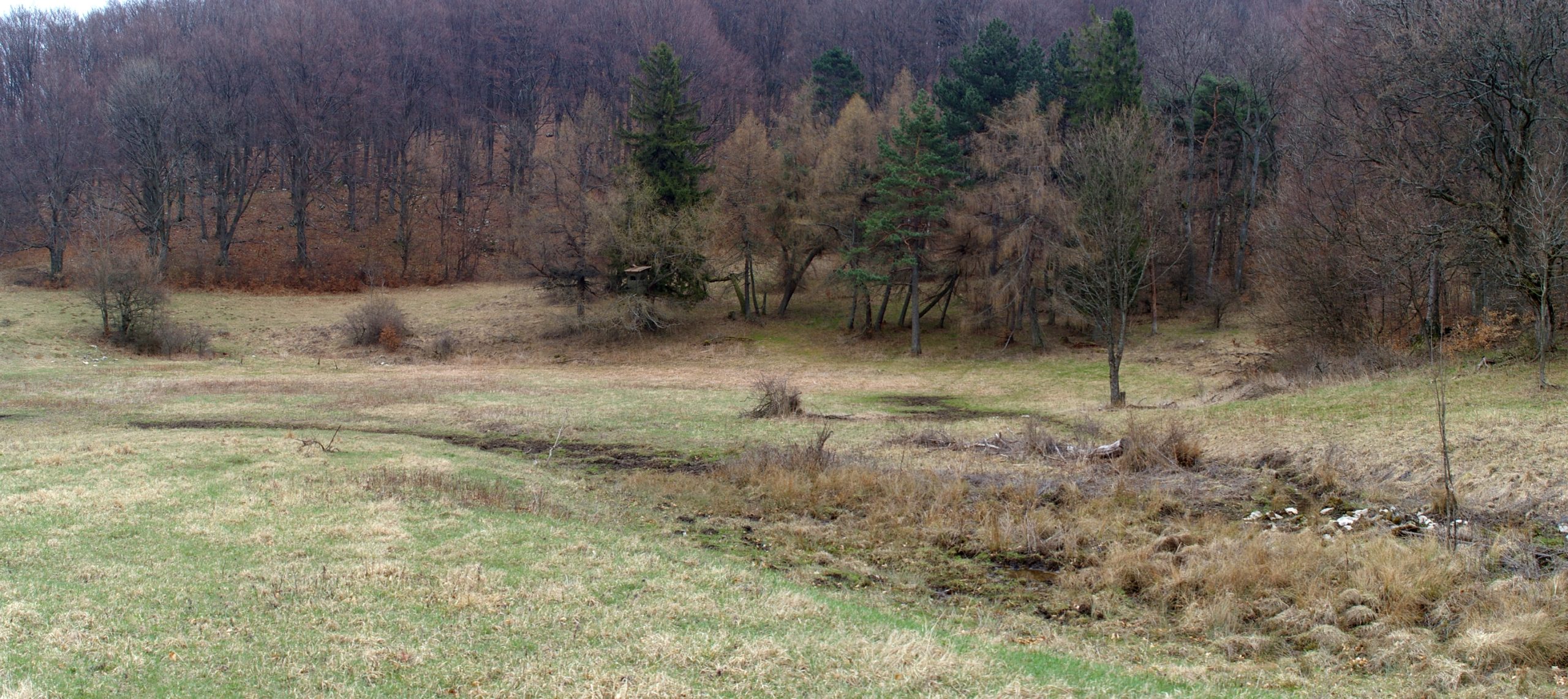 Lúčanské jazierko