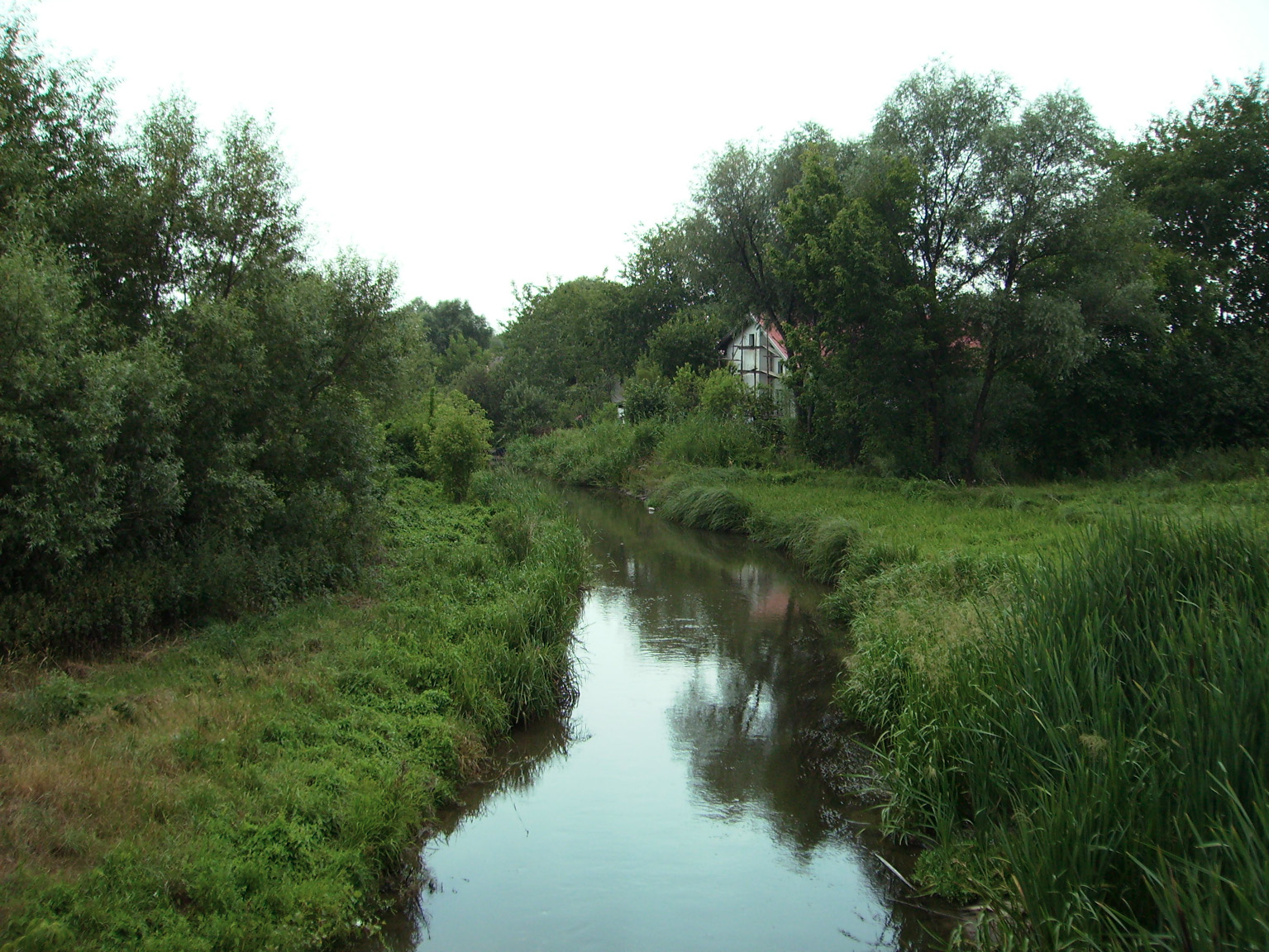 Nitra