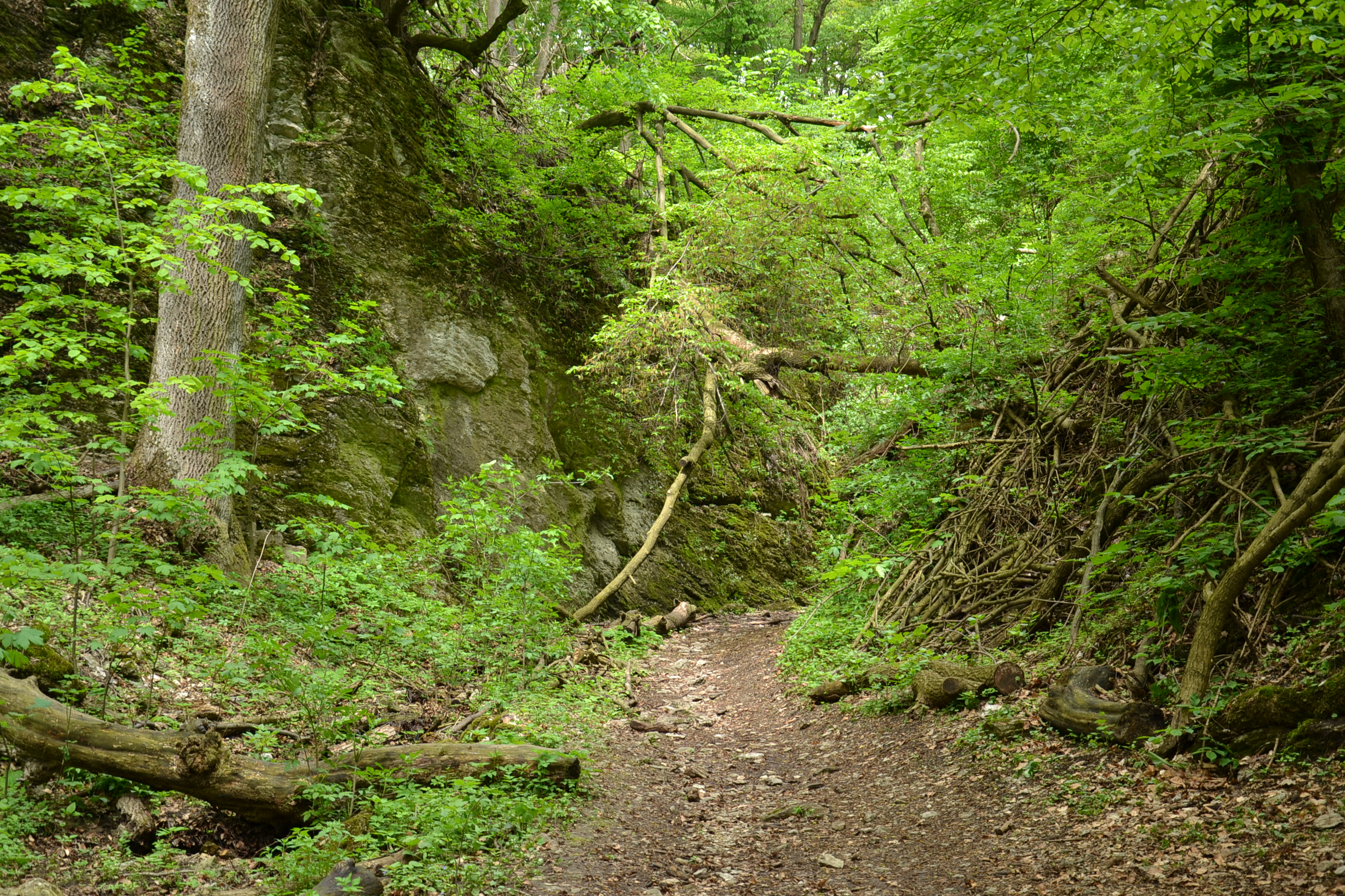Občasný vodopád Hlboča