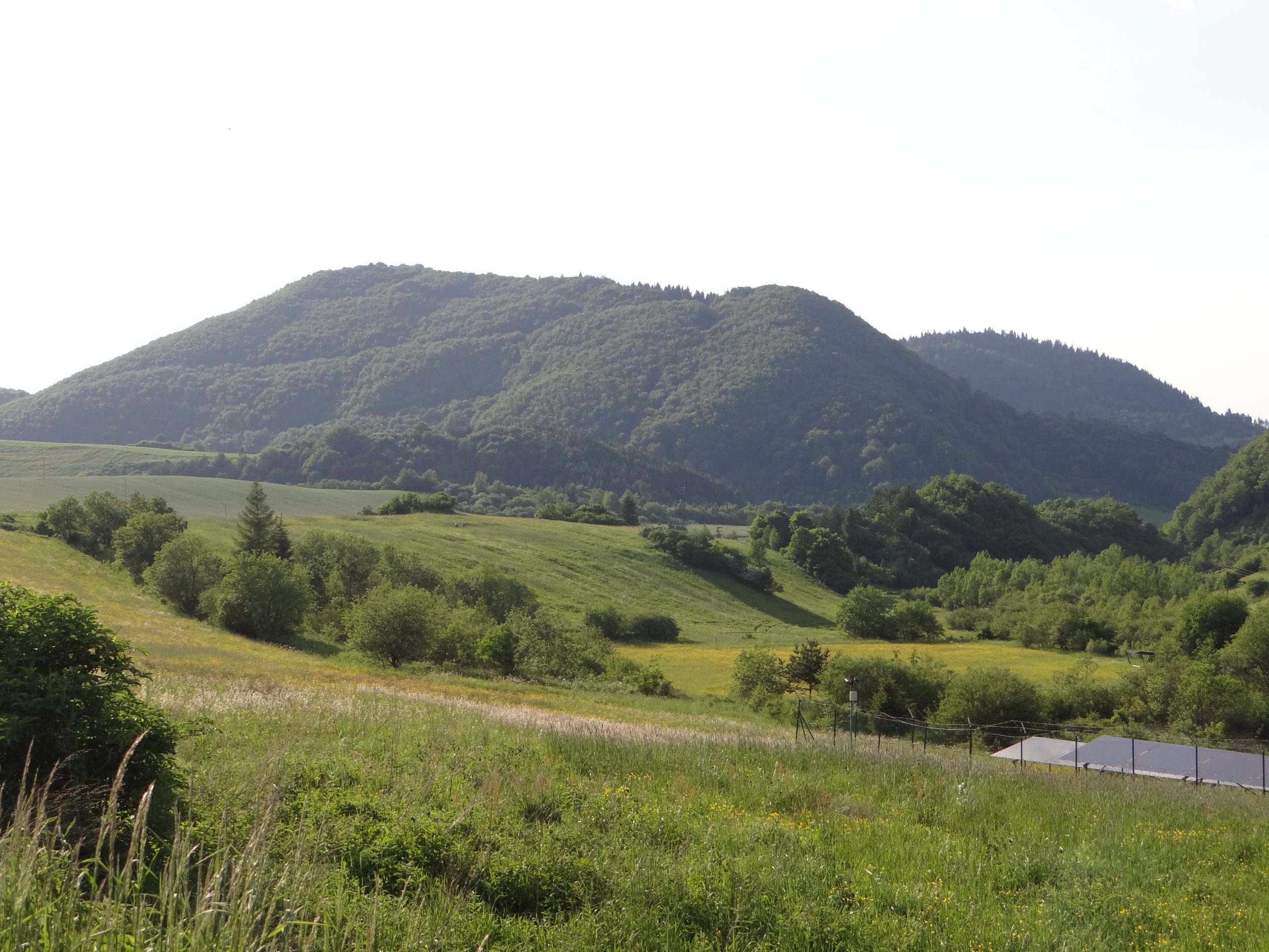 Spišsko-šarišské medzihorie