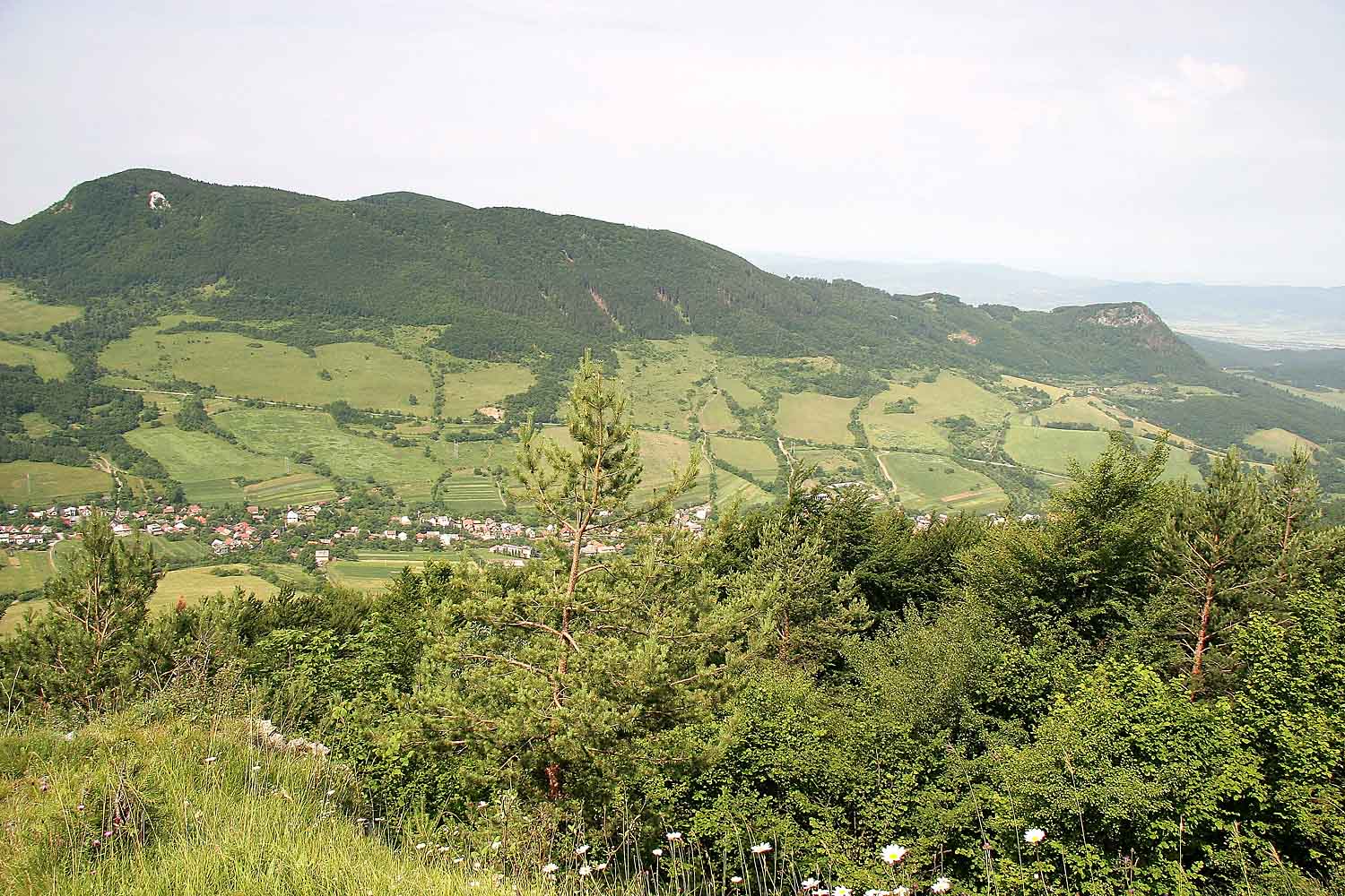 Súľovské vrchy