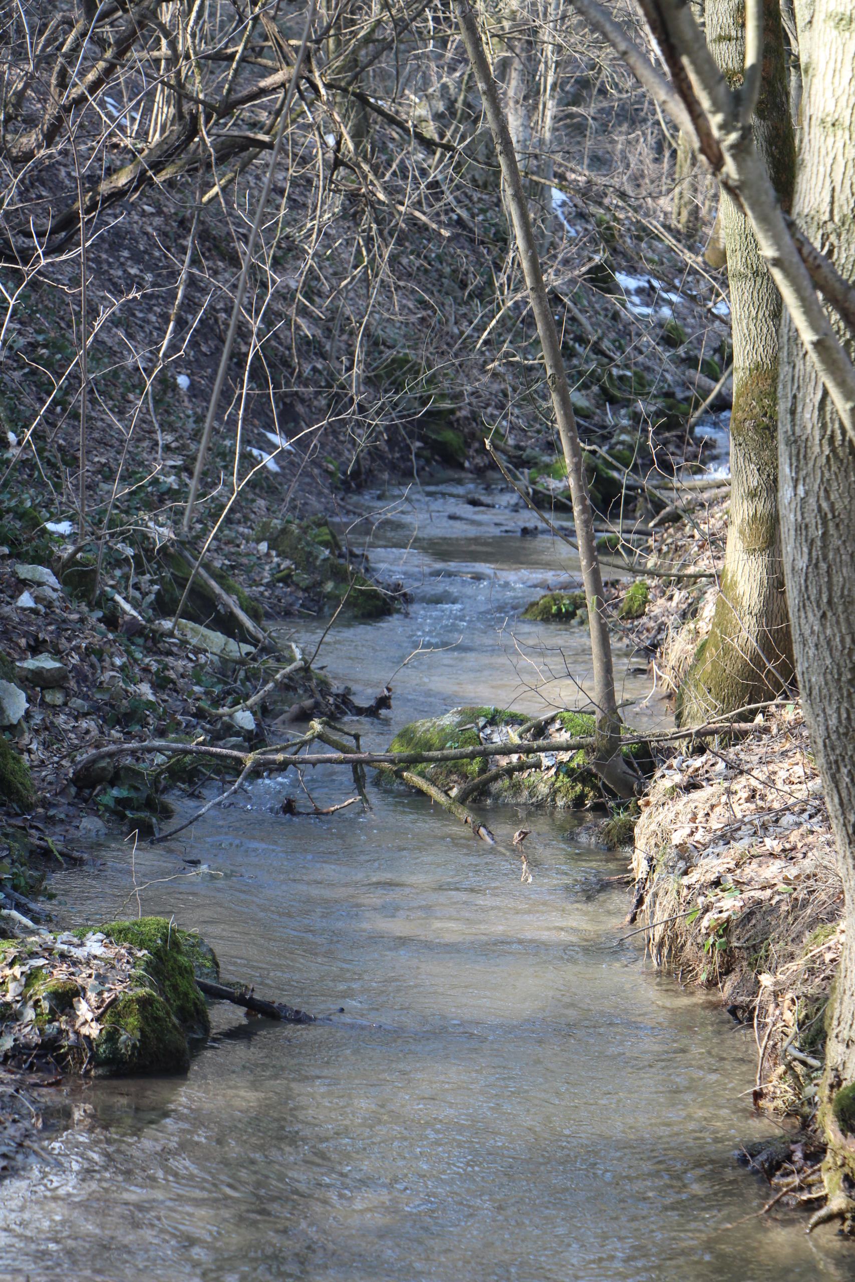 Trnávka (prítok Dudváhu)