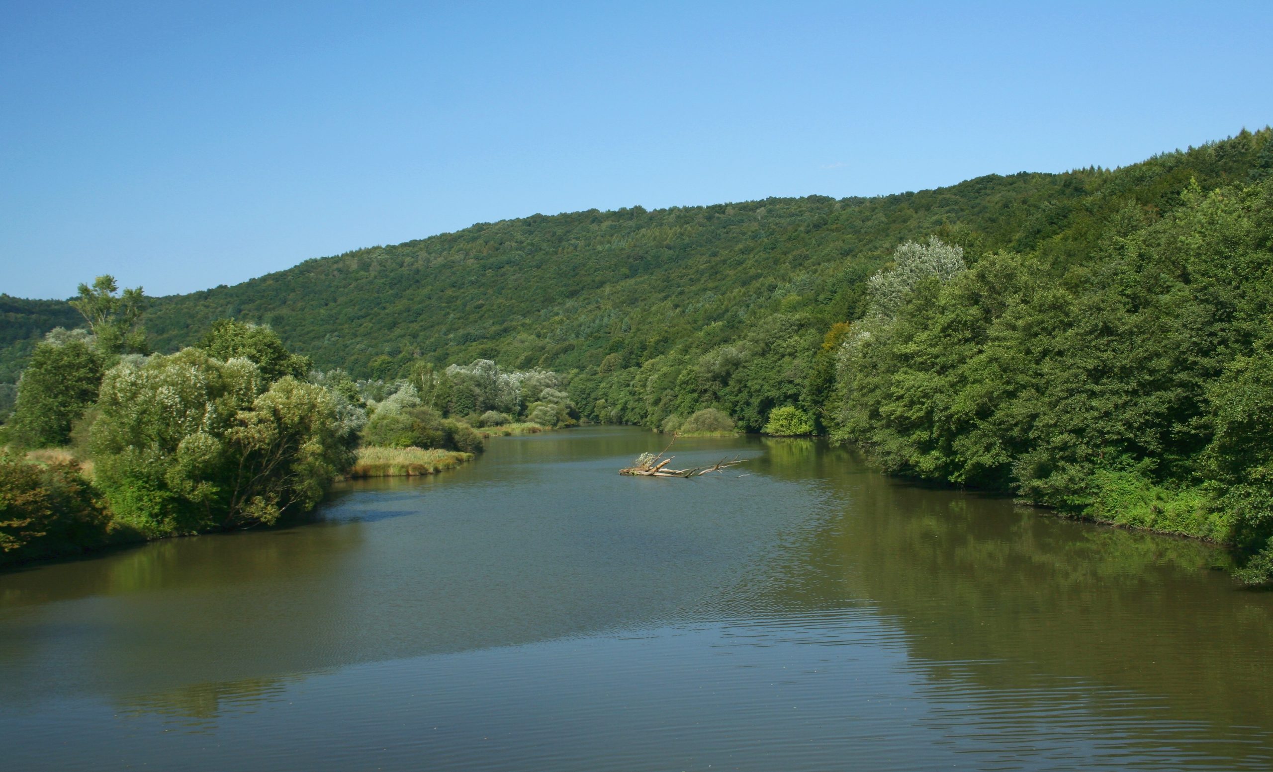 Trnávka (prítok Ondavy)