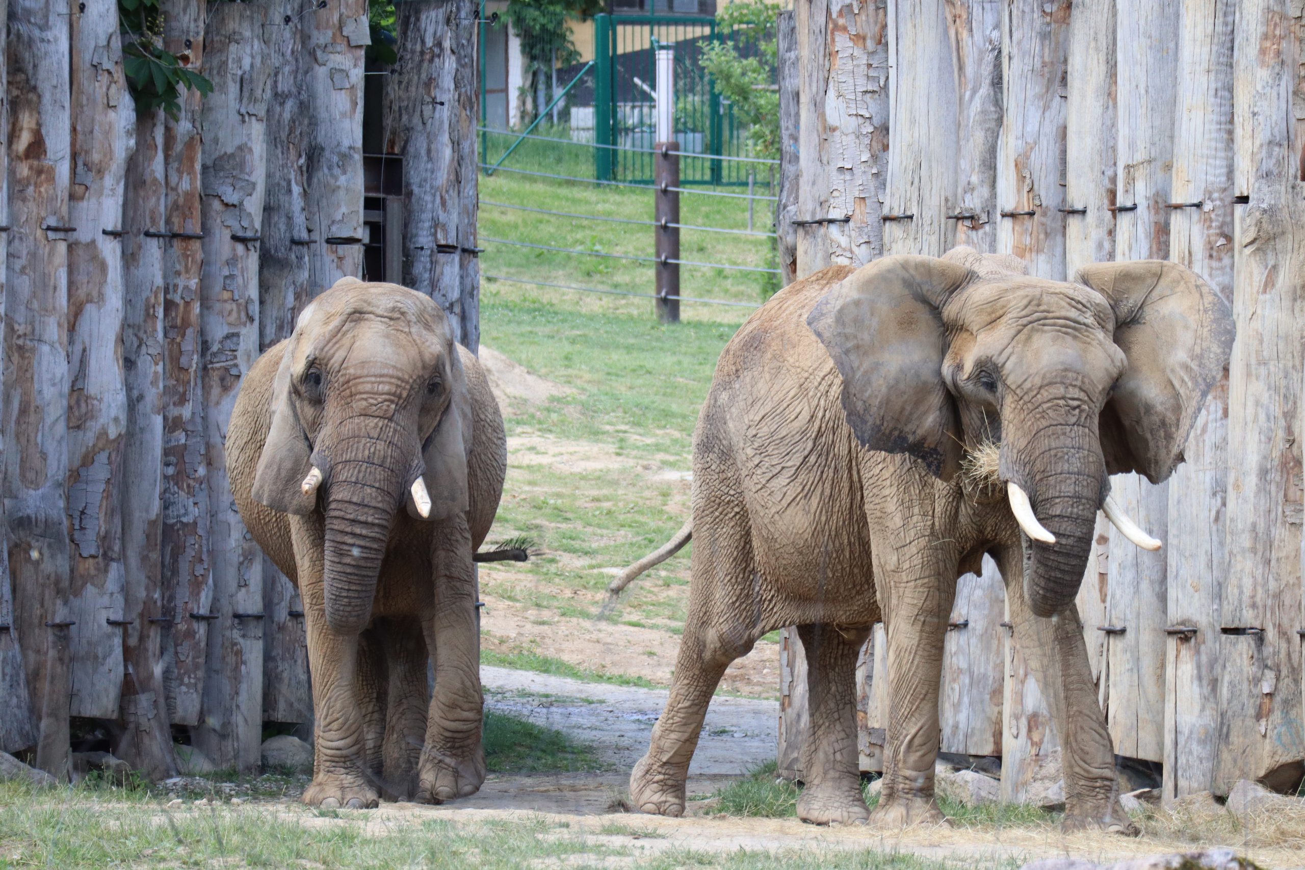 Zoologická záhrada Bratislava