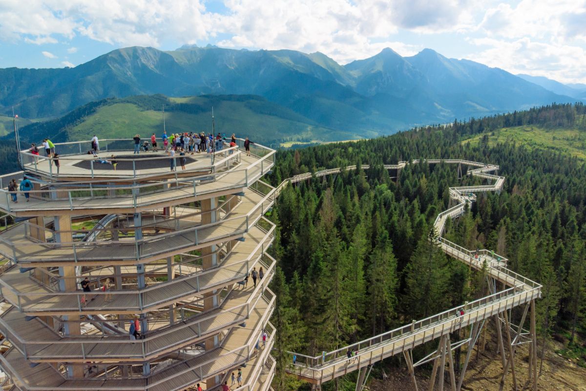 Chodník korunami stromov