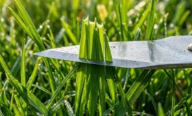 Prvá jarná kosba a _Pravidlo tretiny_